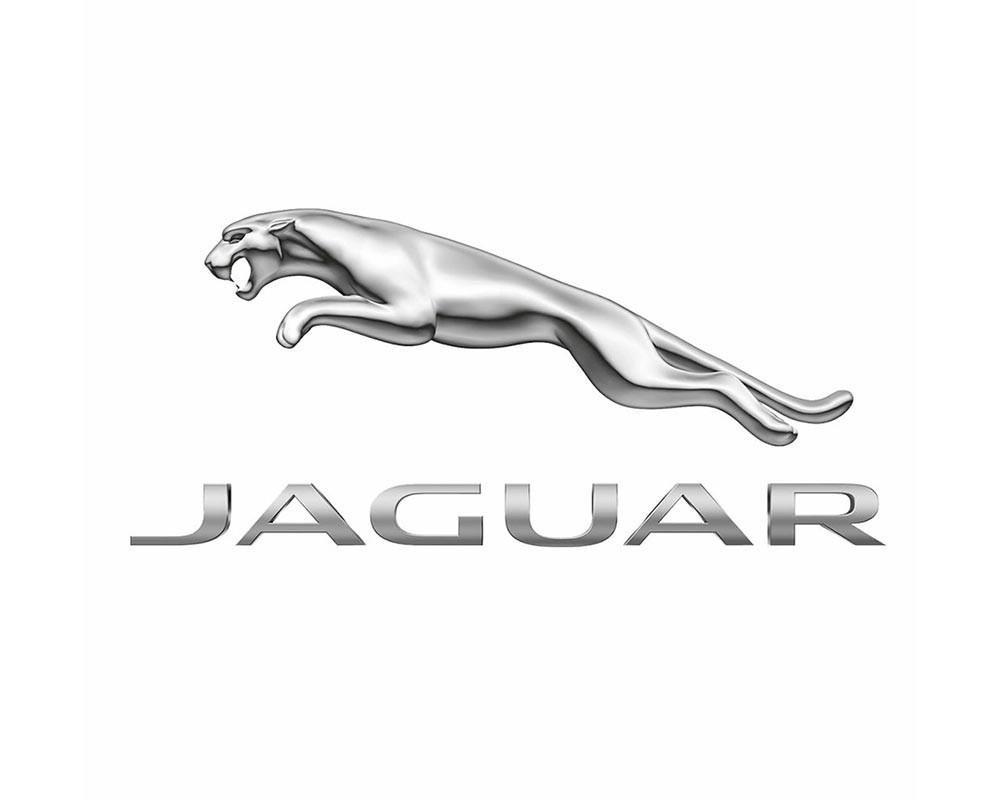 Jaguar Case Studies